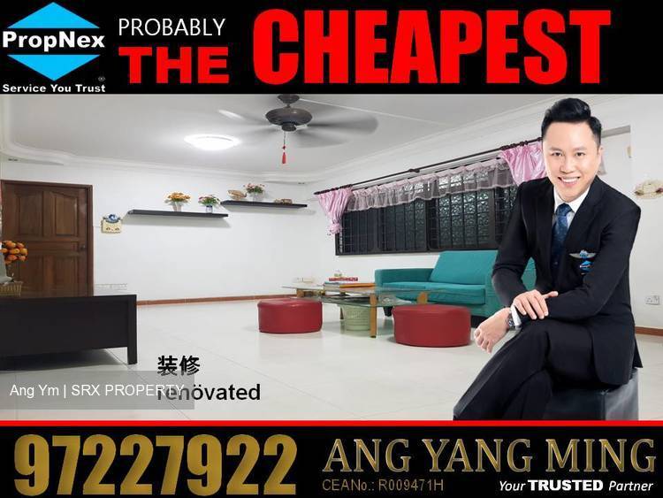 Jurong West Street 65 thumbnail photo